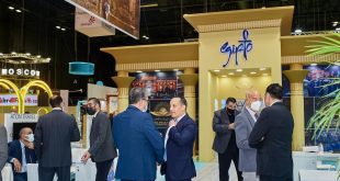 بيان لوزارة السياحة حول مشاركة مصر في فعاليات معرض الفيتور بمدريد