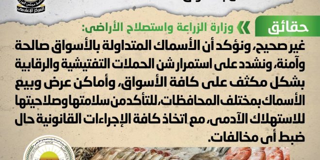 انتشار أسماك فاسدة وغير صالحة للاستهلاك الآدمي بالأسواق المصرية .. شائعة