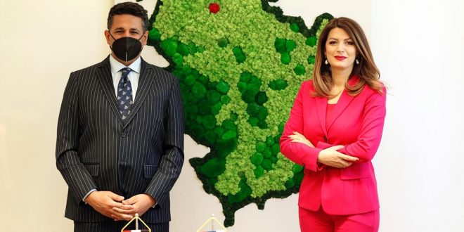 زيادة الاستثمارات والتعاون في السياحة والاتصالات في مباحثات مصرية - صربية