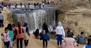 وادي الريان