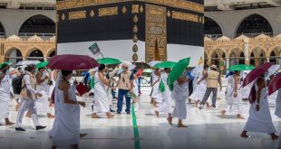 558.27 ألف شخص من داخل المملكة العربية السعودية تقدموا لقرعة الحج