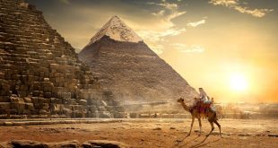 مجلس السفر العالمي يتوقع تعافى السياحة المصرية رغم تأثير كورونا السلبي