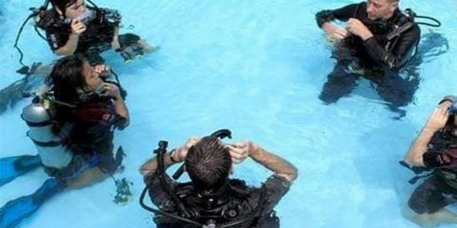 شعبة السياحة والفنادق بجنوب سيناء تطالب بإنشاء نادي غوص سياحي عالمي