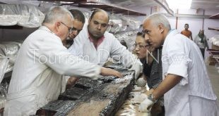 تعاون مصري ياباني في ترميم مركب خوفو الثانية ونقل 72 قطعة للمتحف الكبير