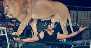 فقرات عالمية فى افتتاح سيرك "جمال الحلو" بمطروح