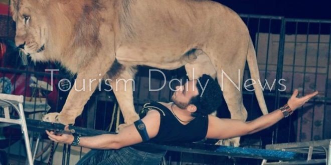 فقرات عالمية فى افتتاح سيرك "جمال الحلو" بمطروح