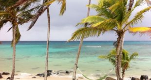 شواطئ تايلاند خاوية .. مشروع ساند بوكس عل ينقذ صناعة السياحة بالبلاد ؟