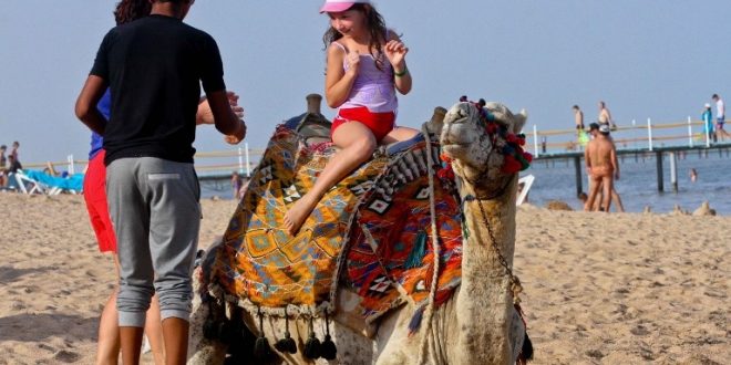 مستثمرون يضعون تصورات لجذب الشباب بالجامعات العالمية والمدارس لزيارة مصر