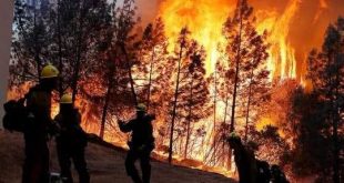 الحرائق تحطم أمال القطاع السياحي الأوروبي بعد خطوات متعثرة للتعافي