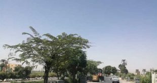 استمرار أعمال تجميل الأقصر بإزالة المخلفات والتشوة البصري على أسطح المنازل