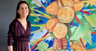 انطلاق كرنفال الداو الدولى للسياحة والفنون بمدينة الغردقة عداً