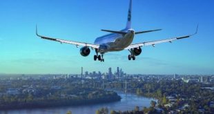 سلحفاة تتسبب في تأخير 5 رحلات بثاني أكثر مطارات العالم ازدحاما