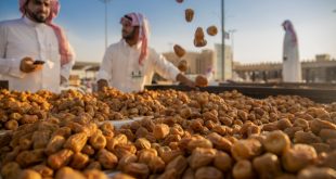 السعودية تروج للسياحة بمهرجانات التمور .. بريدة يروج للمقاصد الزراعية