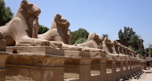 الشيوخ : مصر تمتلك إلي جانب طبيعتها الساحرة والخلابة كنوزا أثرية وحضارية