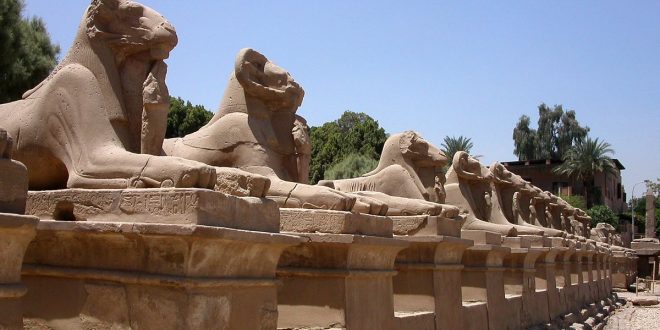 الشيوخ : مصر تمتلك إلي جانب طبيعتها الساحرة والخلابة كنوزا أثرية وحضارية