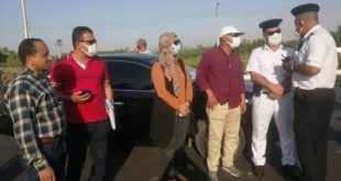 الأقصر تزيل 4 شجرات وتهذب الزراعات والتشوهات البصرية لتحسين المشهد الحضاري