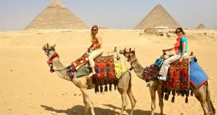 عضو بالشيوخ : تحويل القاهرة والجيزة والقليوبية إلى منطقة سياحية واستثمارية