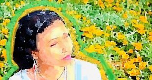 "حواديت سيلفى" .. معرض جرافيك آرت احتفالا بيوم التسامح الدولى