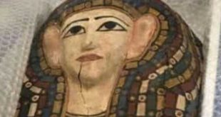 مصر تسترد 29 ألف قطعة أثرية بينها 5 آلاف من الولايات المتحدة الأمريكية