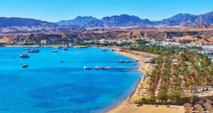إلغاء ترخيص 12منشأة فندقية وتخفيض نجومية 30أوتيل بجنوب سيناء والبحر الأحمر