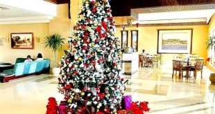 فنادق العردقة ومرسى علم تبدأ الاستعداد لاحتفالات أعياد الكريسماس ورأس السنة
