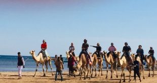 عضو بالشيوخ : منتدي شباب العالم ينشط سياحة المؤتمرات ويروج لشرم الشيخ