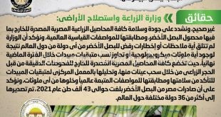 تصدير شحنات فاسدة من البصل الأخضر تتسبب في الإصابة ببكتريا الإيكولاي شائعة