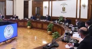 مجلس الوزراء يشكل مجموعة عمل لحل مشاكل المستثمرين في تخصيص الأراضى