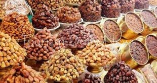 انطلاق فعاليات مهرجان التمور الدولي الخامس بسيوة بحضور المنتجين والمصدرين