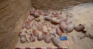 الكشف عن خبيئة لمواد التحنيط في أبو صير