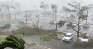 فرانكلين تضرب أوروبا وتقتلع الأشجار من جذورها وتقطع الكهرباء وتؤجل الرحلات