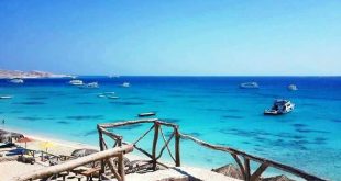 ألية تحويل المناطق بالمحافظات إلى سياحية ومطالب لتوفيق أوضاع المنشآت