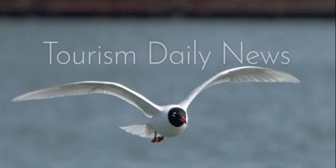 السياحة تنظم مهرجاناً لهواة مراقبة الطيور وتصويرها بمحافظة بورسعيد