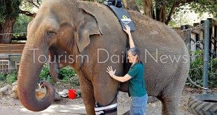 أكبر حدائق الحيوان باوكرانيا تستغيث من الحصار الروسي.