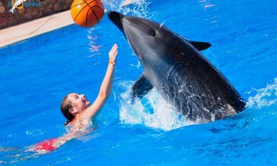 مطار شرم الشيخ يستقبل 189رحلة طيران دولية في 7 أيام وSmart Wing تصل الأقصر