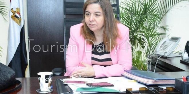 مي عبد الحميد، الرئيس التنفيذي لصندوق الإسكان الاجتماعي