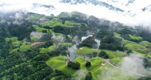 صورة جوية تكشف ما حدث في حديقة الشاي بولاية أنشي