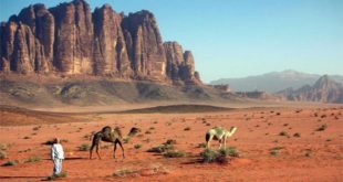 99 ألف فرصة عمل في القطاع السياحي جاهزة في الأردن