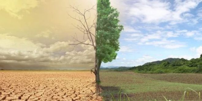 العالم يواجه تحديات فى التحول الأخضر في ظل أزمة التغيرات المناخية