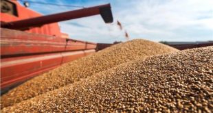 أوكرانيا تستأنف تصدير الحبوب من موانيها بعد 5 أيام من توقيع اتفاقية رباعية