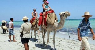 التأشيرة الإلكترونية تقود السياحة المغربية إلى تحقق تمو كبير بالنصف الأول