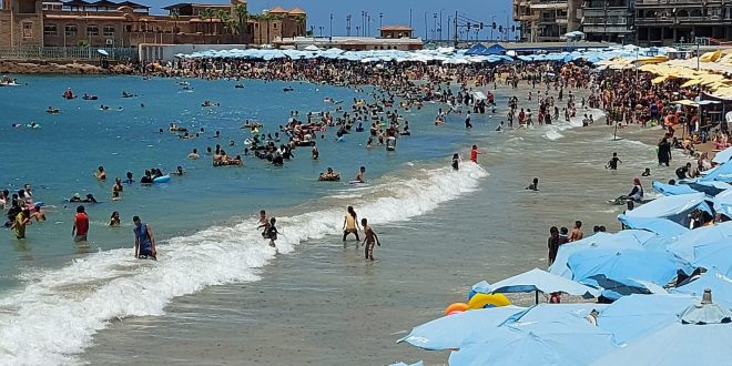 شواطئ الإسكندرية
