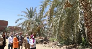 أعمال توسعة وفتح طرق في محافظة الوادى الجديد وإنشاء سور لمقر محطة الملاريا