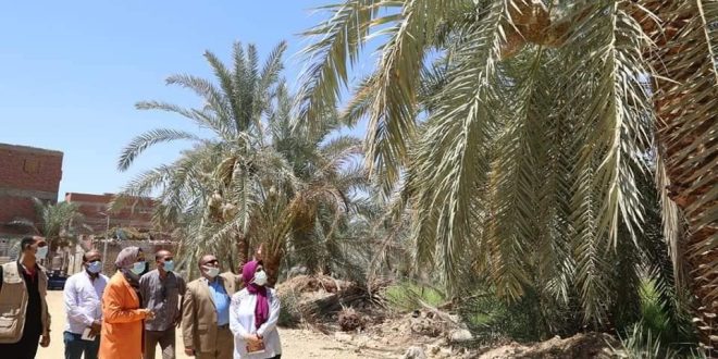 أعمال توسعة وفتح طرق في محافظة الوادى الجديد وإنشاء سور لمقر محطة الملاريا