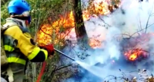 النيران لا تزال مشتعلة لليوم الثانى على التوالي في غابات عكار
