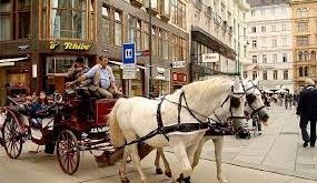 إيطاليا تحظر استخدام الخيول لسحب عربات السائحين في جميع أنحاء البلاد