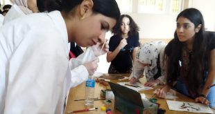 وزارة السياحة تكشف عن أنشطة صيفية لرفع الوعي السياحي و الأثري للمواطنين