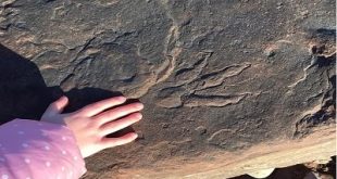 أجهزة وزارة الداخلية تضبط 3 متهمين بالحفر والتنقيب عن الآثار بالواسطى