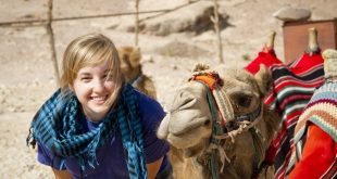 62 % من الأردنيين كلفة السياحة مرتفعة .. و94% لا يتابعون اي نشاطات سياسية