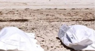 تفاصيل عثور أجهزة الأمن على جثتي سيدة وابنتها بطريق رأس غارب الغردقة